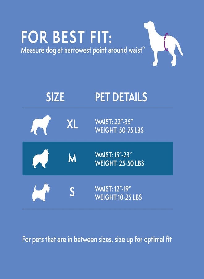 سيمبل سوليوشن حفاضات كلبة أنثى قابلة للغسل من سيمبل سوليوشن، مقاس متوسط، عبوة واحدة - Image 3